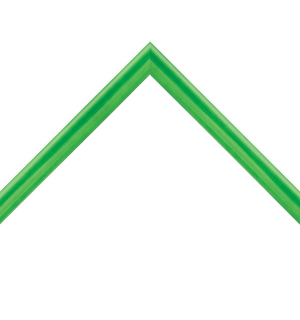 thin glossy green frame