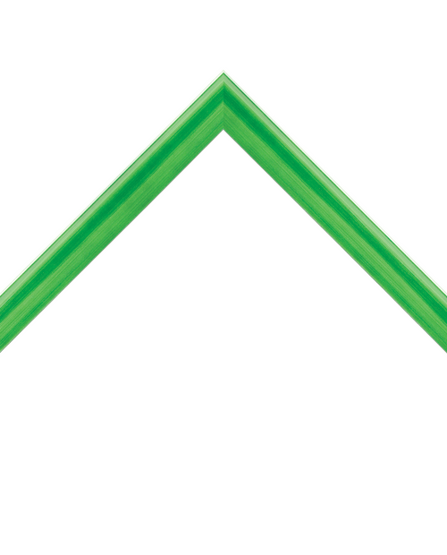 thin glossy green frame