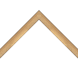 distressed spotted silver frame