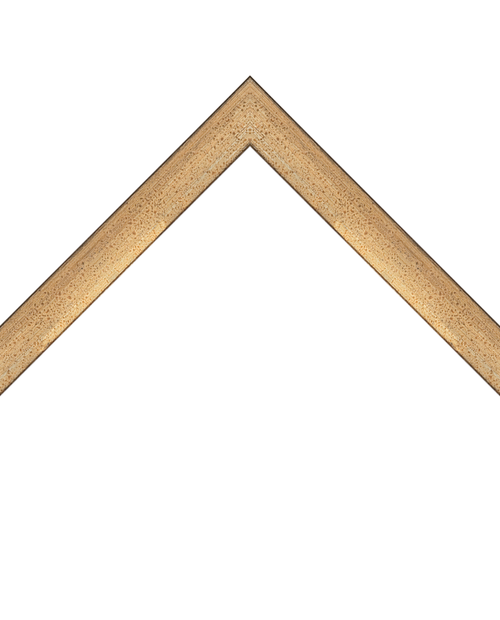 distressed spotted silver frame